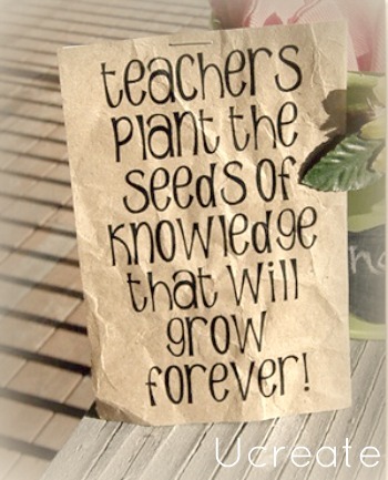 teachers plant the knowledge